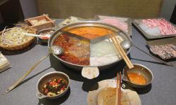 Featured image of post VisualPatchWorld: Code World Models as Latent Structured Representations for Planning